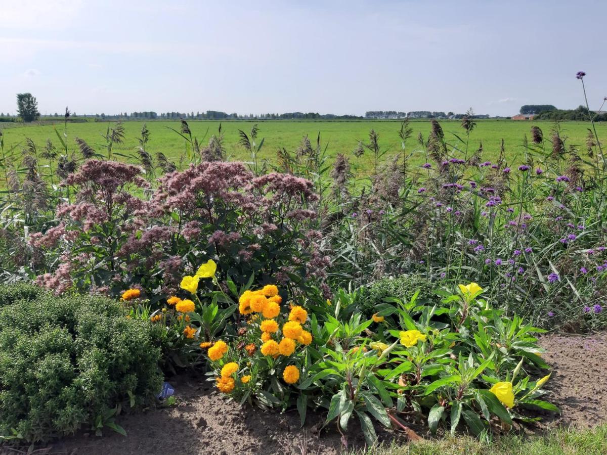 B&B De Hemelse Polder Sint-Laureins Exteriör bild