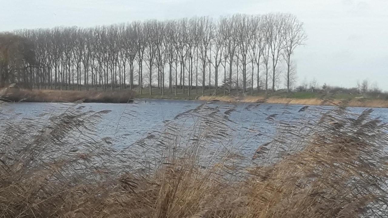 B&B De Hemelse Polder Sint-Laureins Exteriör bild